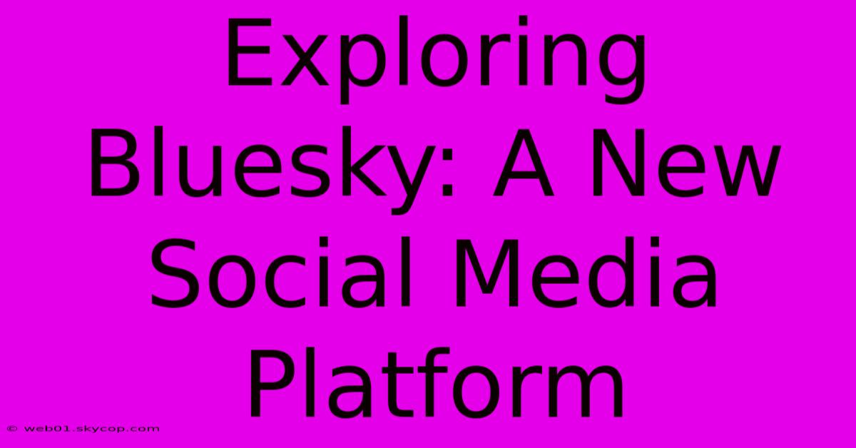 Exploring Bluesky: A New Social Media Platform