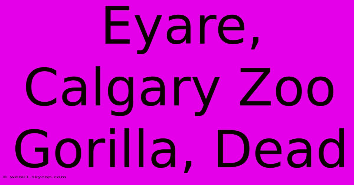 Eyare, Calgary Zoo Gorilla, Dead