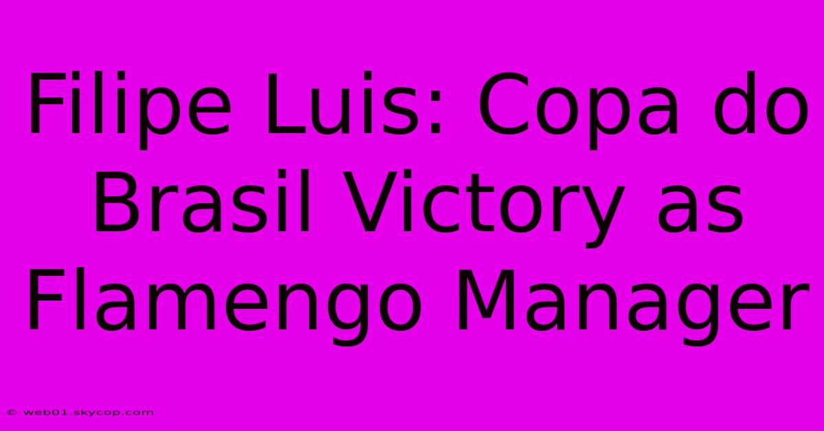 Filipe Luis: Copa Do Brasil Victory As Flamengo Manager 