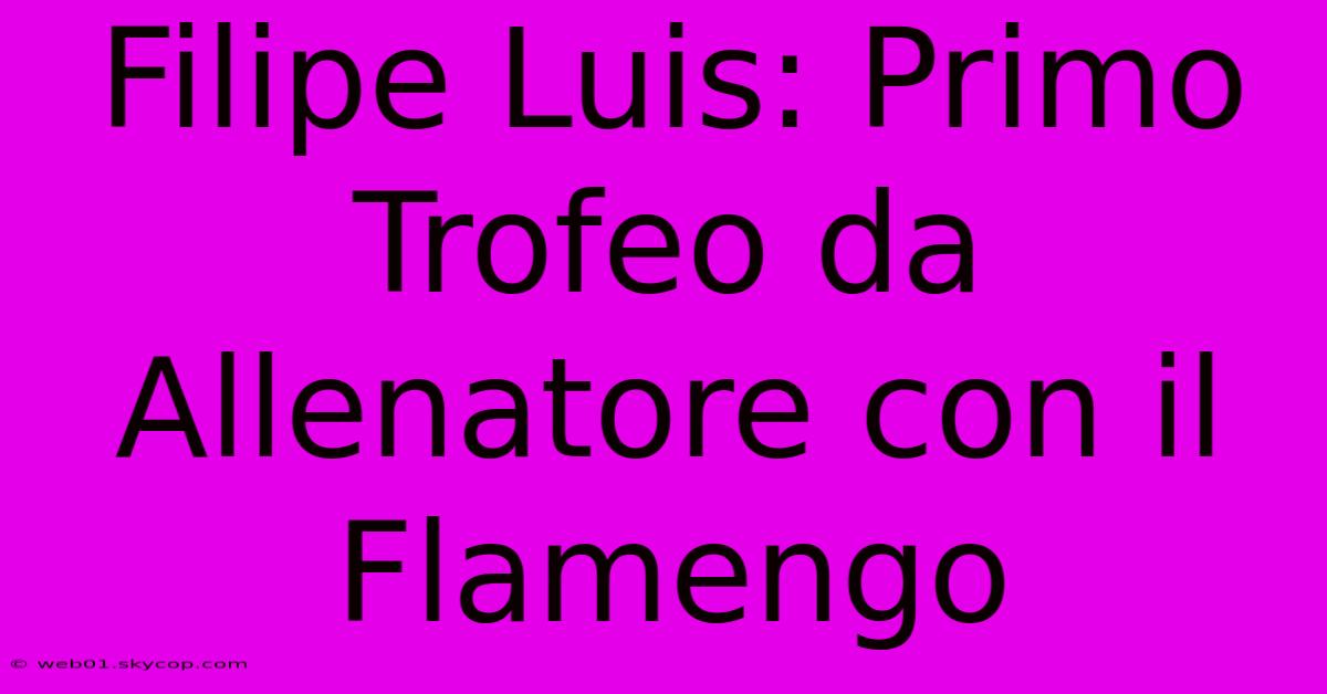 Filipe Luis: Primo Trofeo Da Allenatore Con Il Flamengo