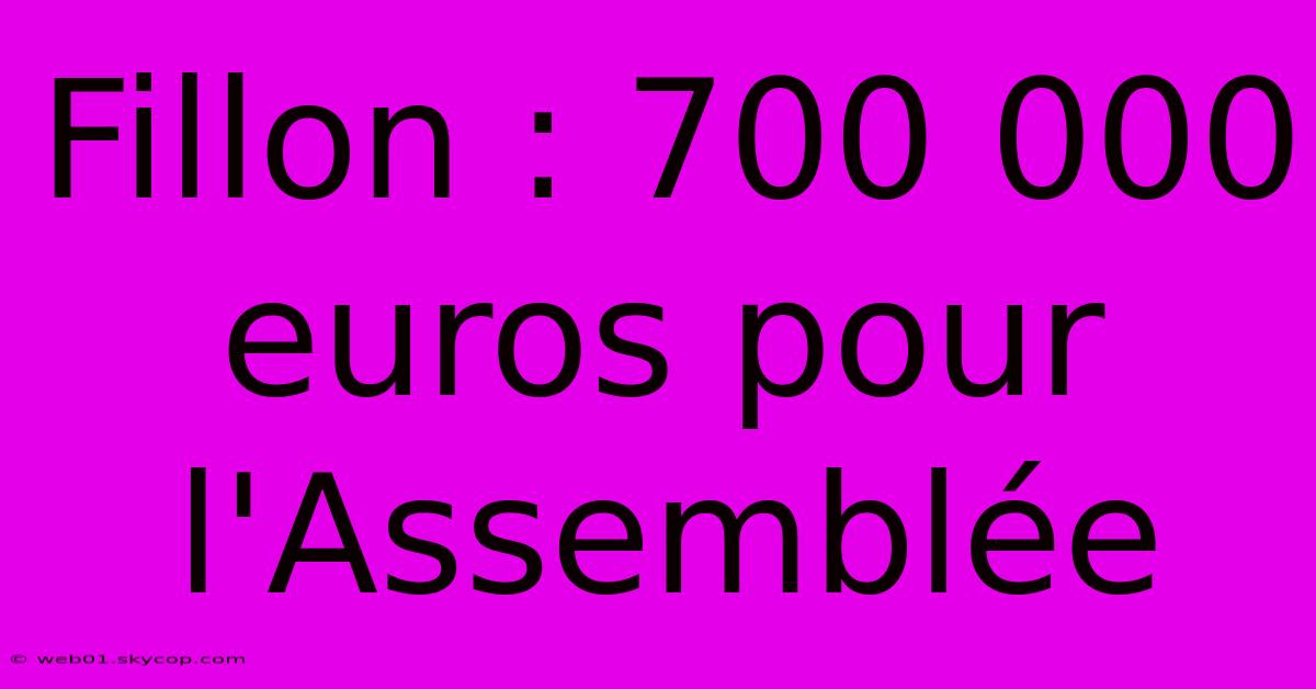 Fillon : 700 000 Euros Pour L'Assemblée 