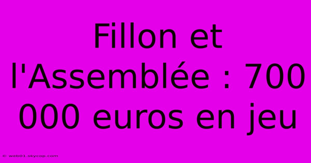 Fillon Et L'Assemblée : 700 000 Euros En Jeu