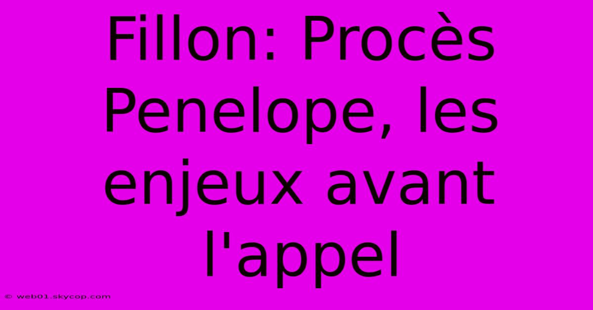 Fillon: Procès Penelope, Les Enjeux Avant L'appel