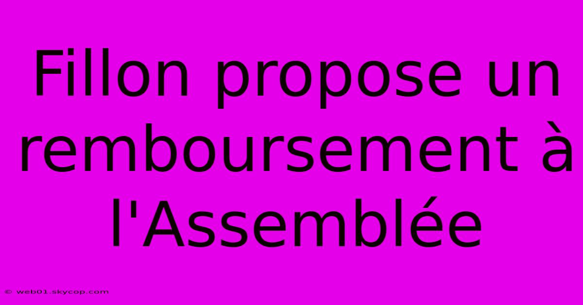 Fillon Propose Un Remboursement À L'Assemblée