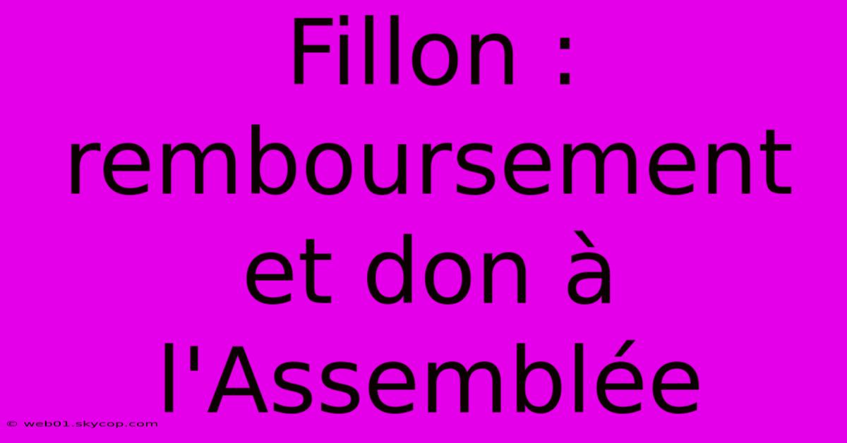 Fillon : Remboursement Et Don À L'Assemblée