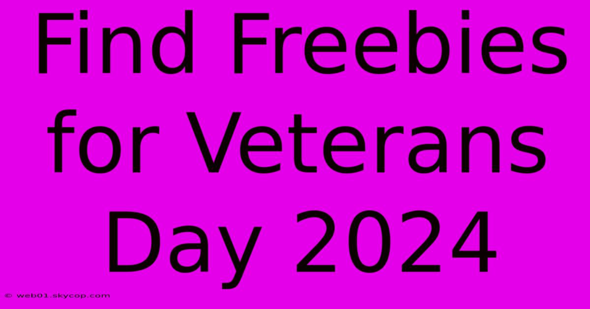 Find Freebies For Veterans Day 2024