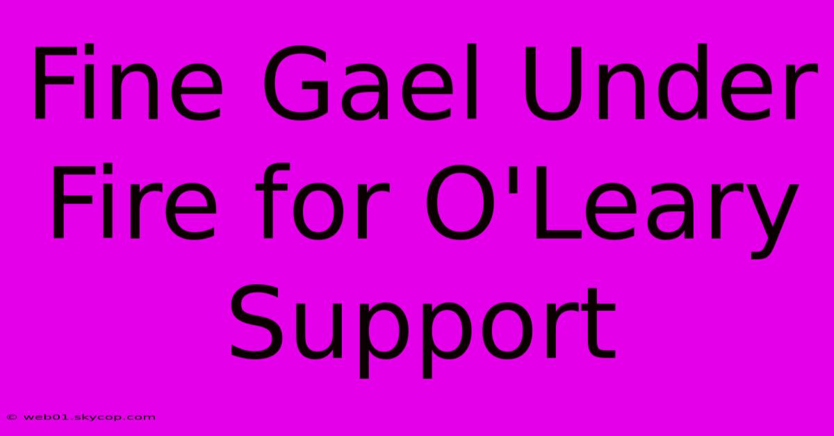 Fine Gael Under Fire For O'Leary Support