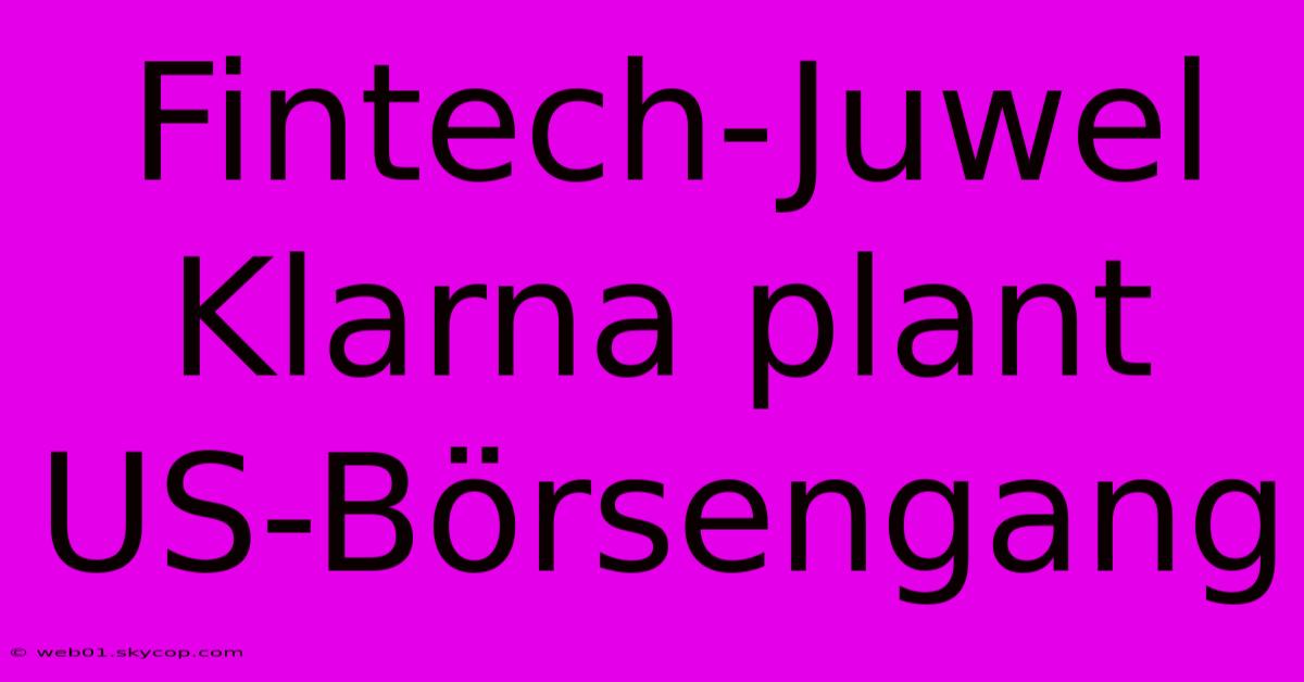 Fintech-Juwel Klarna Plant US-Börsengang