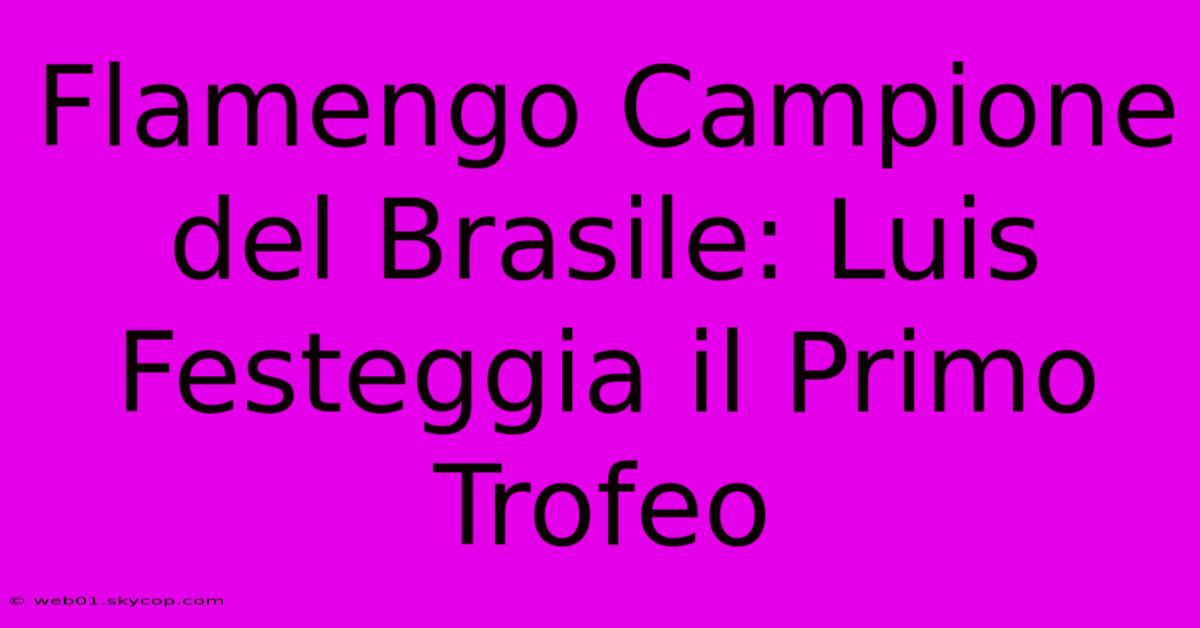 Flamengo Campione Del Brasile: Luis Festeggia Il Primo Trofeo