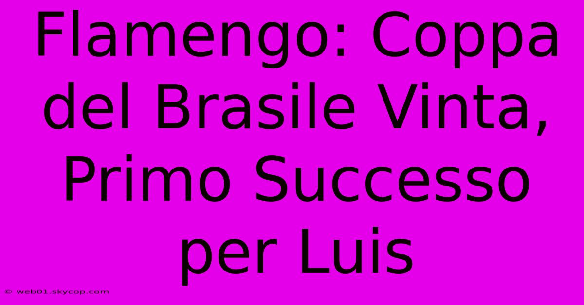 Flamengo: Coppa Del Brasile Vinta, Primo Successo Per Luis 