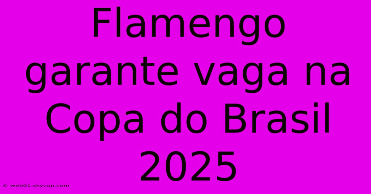 Flamengo Garante Vaga Na Copa Do Brasil 2025