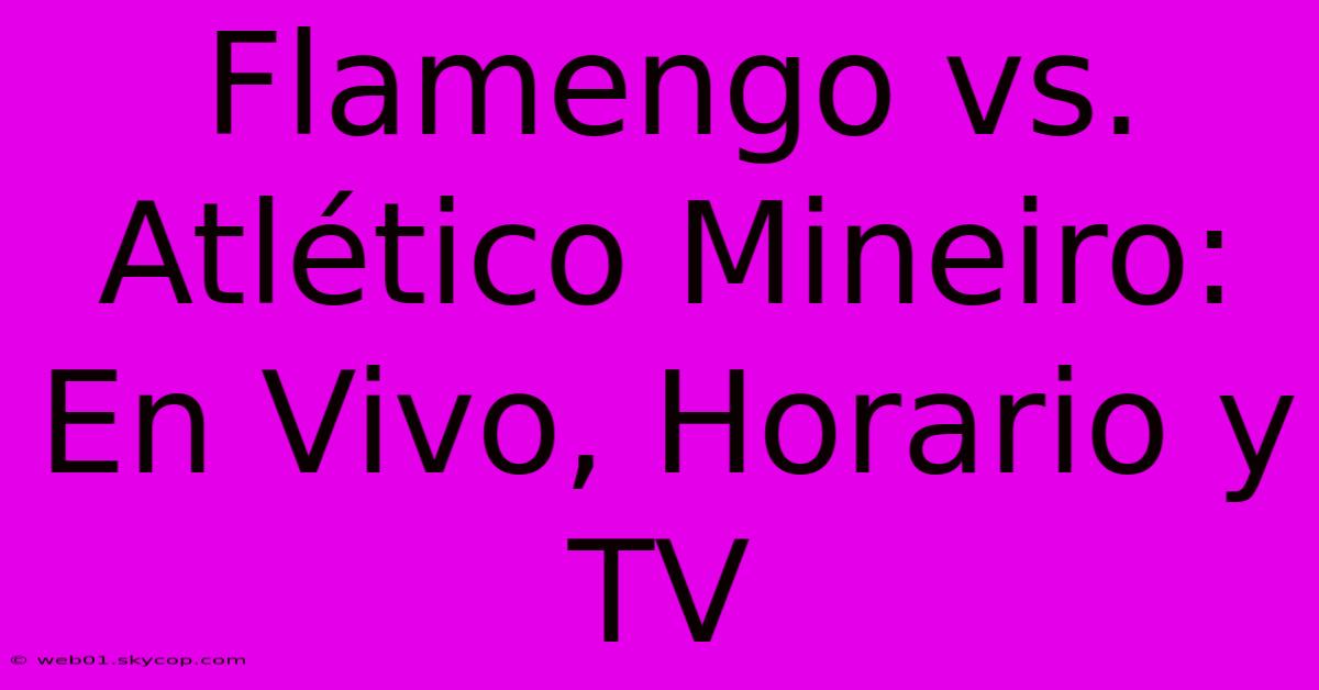 Flamengo Vs. Atlético Mineiro: En Vivo, Horario Y TV