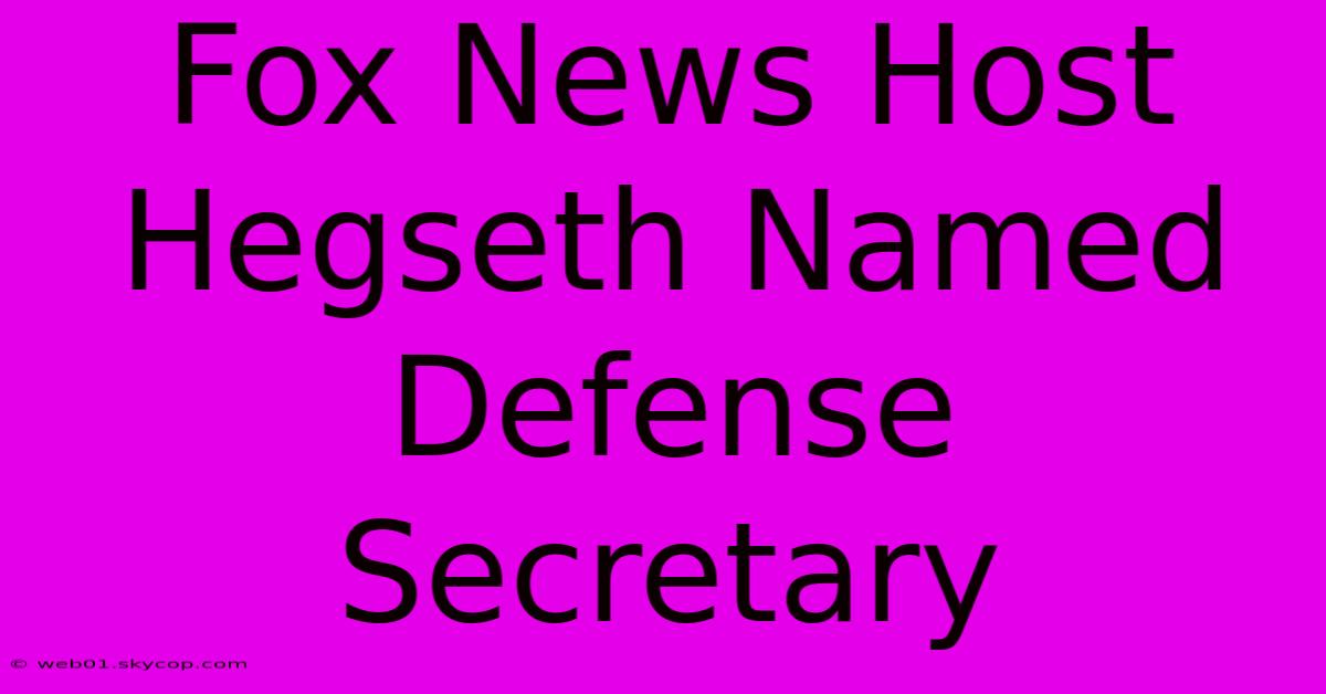 Fox News Host Hegseth Named Defense Secretary