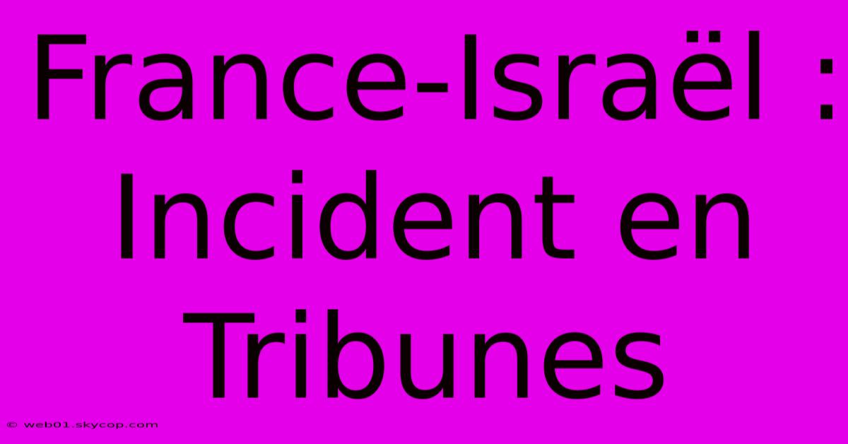 France-Israël : Incident En Tribunes