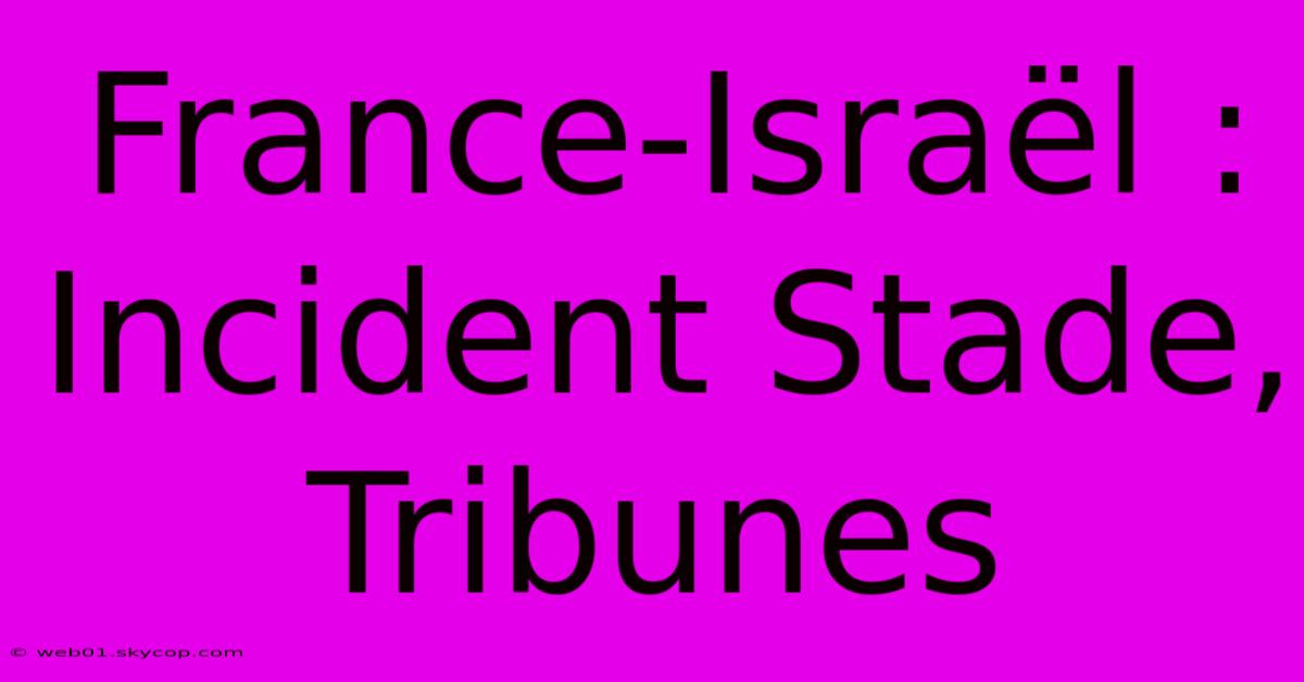 France-Israël : Incident Stade, Tribunes 