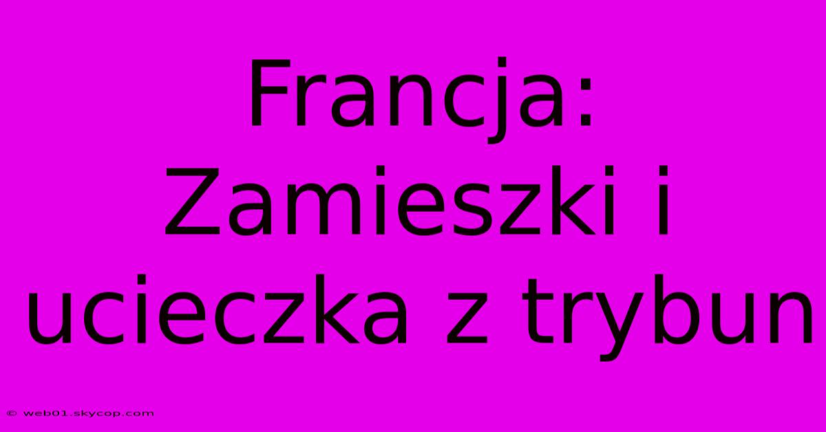 Francja: Zamieszki I Ucieczka Z Trybun