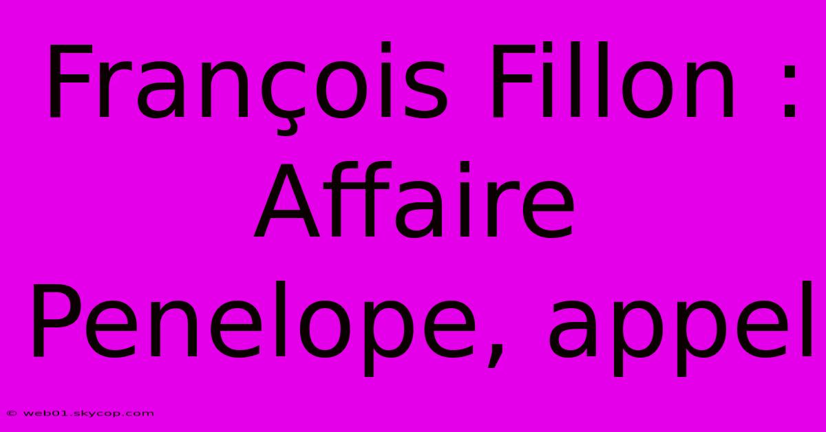 François Fillon : Affaire Penelope, Appel