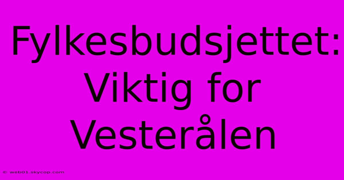 Fylkesbudsjettet: Viktig For Vesterålen