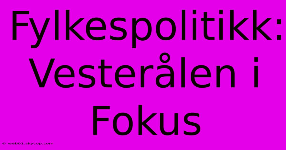 Fylkespolitikk: Vesterålen I Fokus 