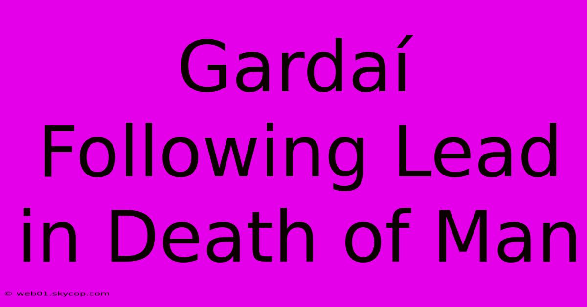 Gardaí Following Lead In Death Of Man