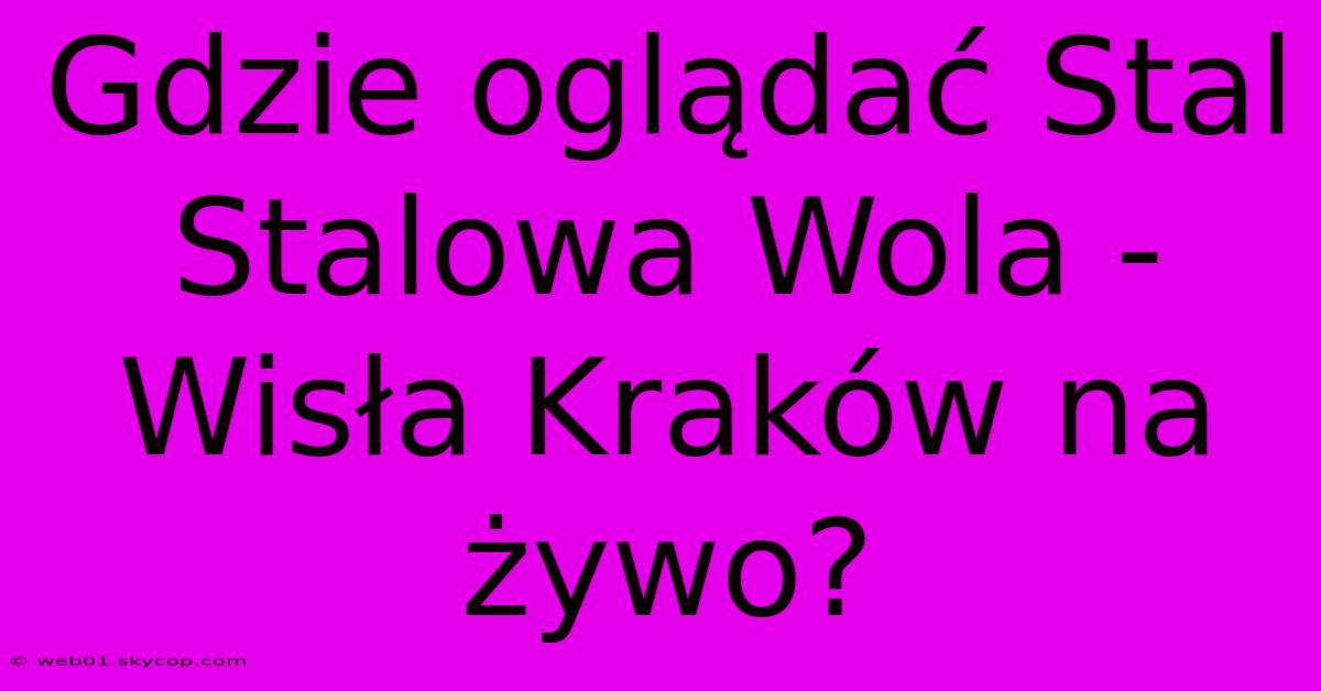 Gdzie Oglądać Stal Stalowa Wola - Wisła Kraków Na Żywo?