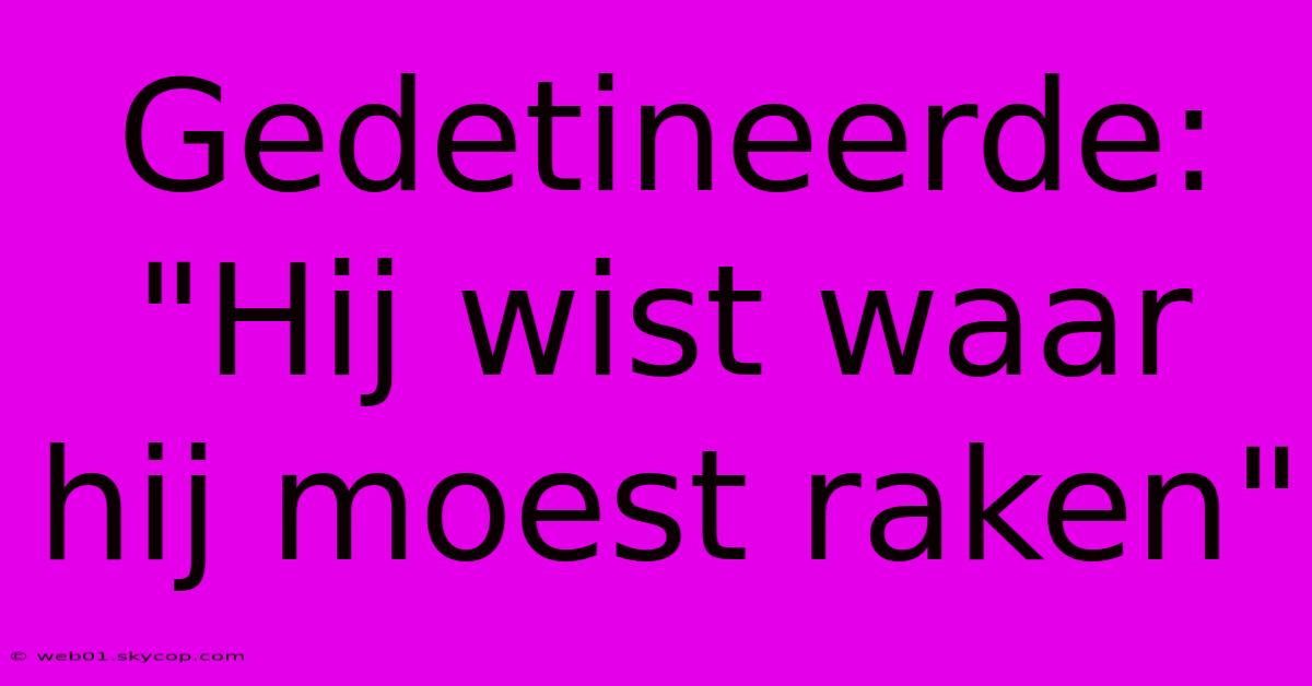 Gedetineerde: 