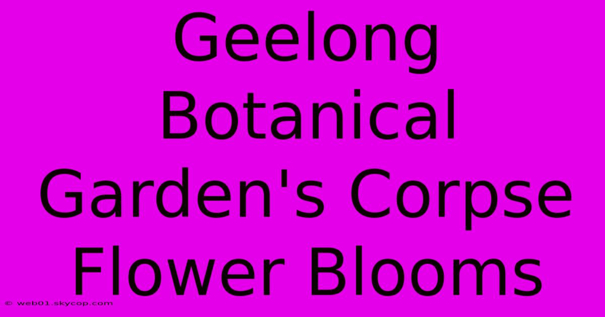 Geelong Botanical Garden's Corpse Flower Blooms 