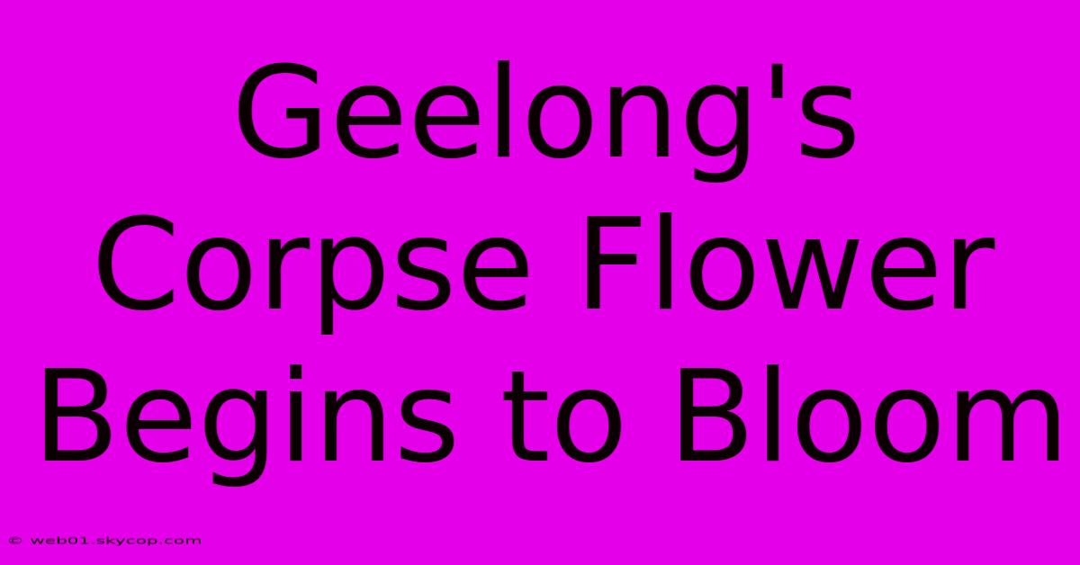 Geelong's Corpse Flower Begins To Bloom