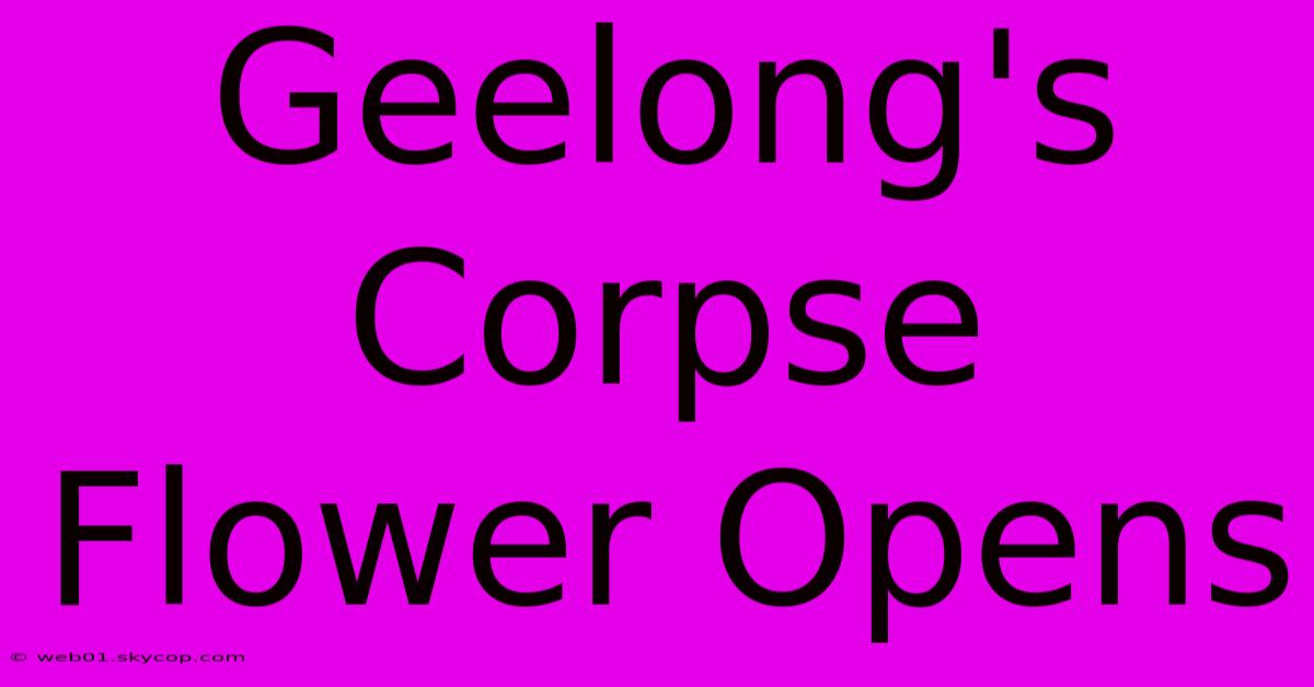 Geelong's Corpse Flower Opens