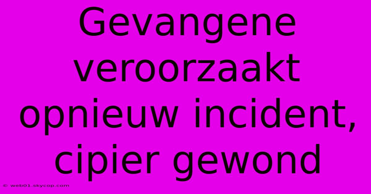 Gevangene Veroorzaakt Opnieuw Incident, Cipier Gewond