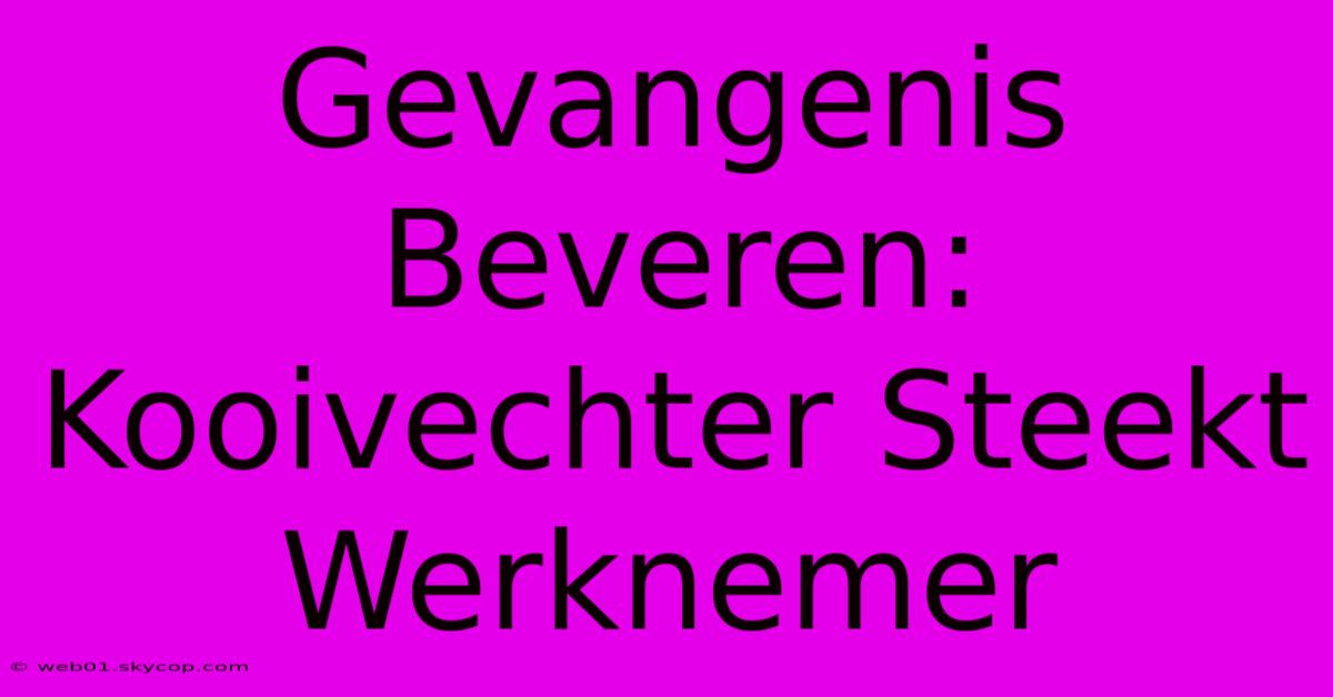 Gevangenis Beveren: Kooivechter Steekt Werknemer