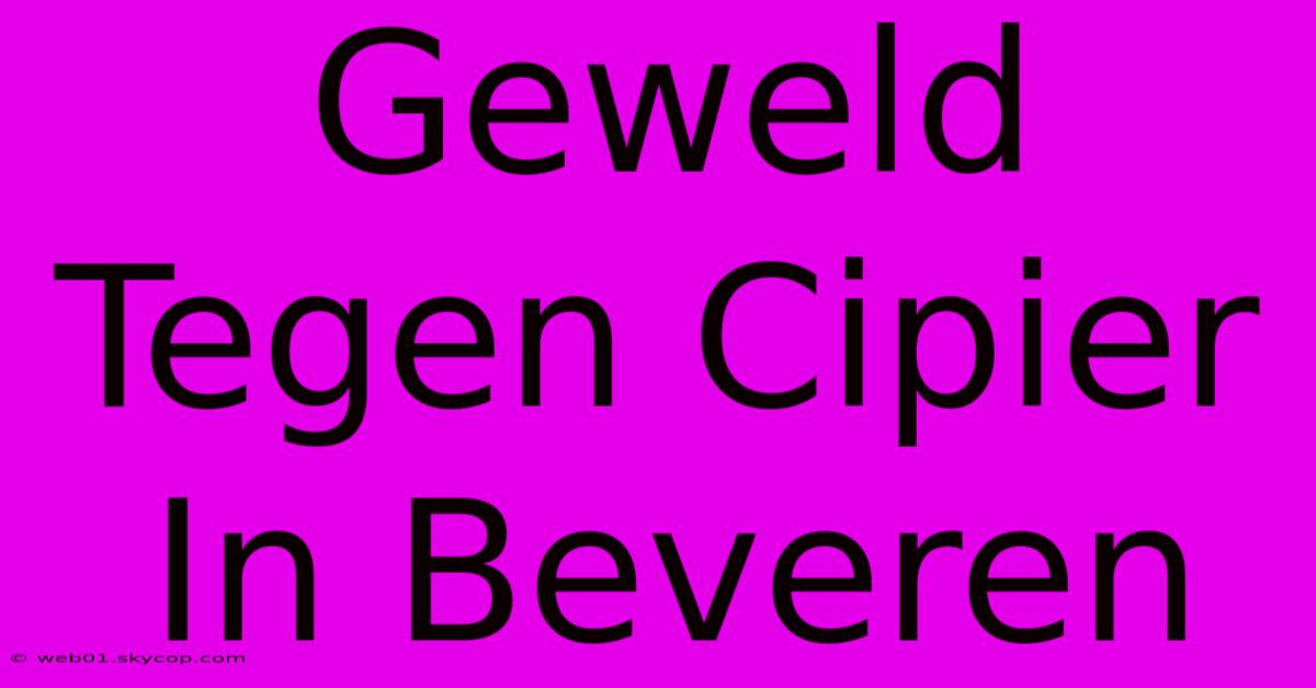 Geweld Tegen Cipier In Beveren