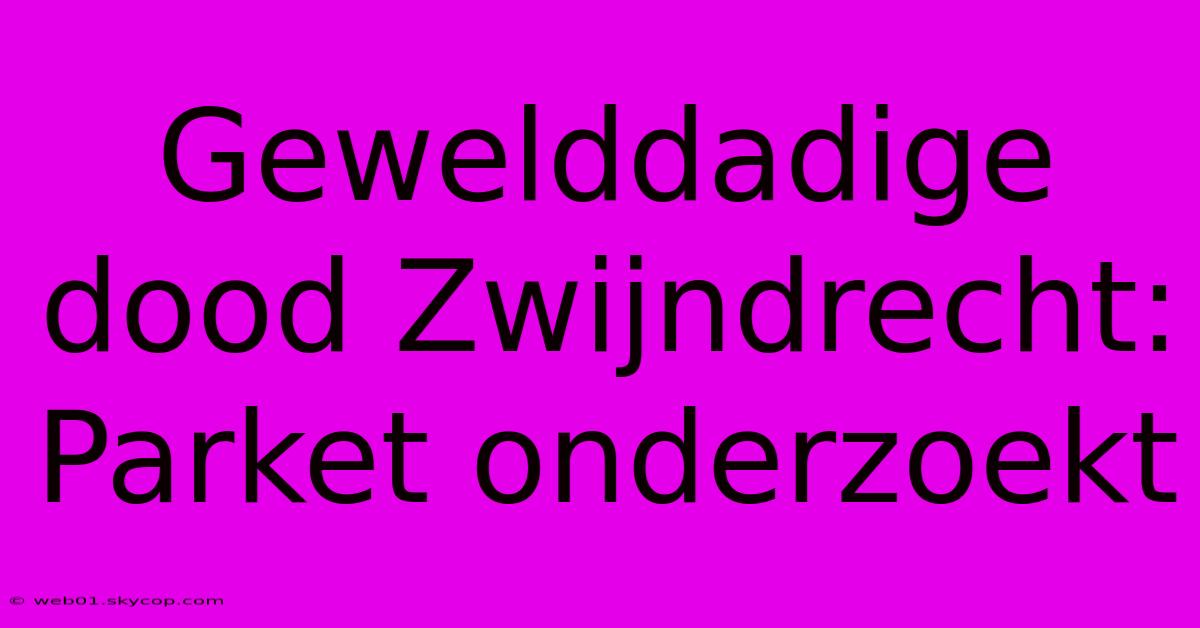 Gewelddadige Dood Zwijndrecht: Parket Onderzoekt