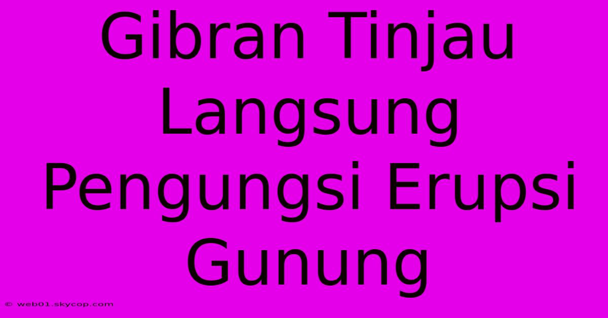 Gibran Tinjau Langsung Pengungsi Erupsi Gunung