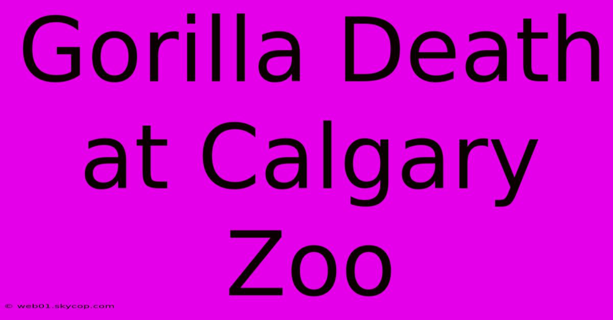 Gorilla Death At Calgary Zoo