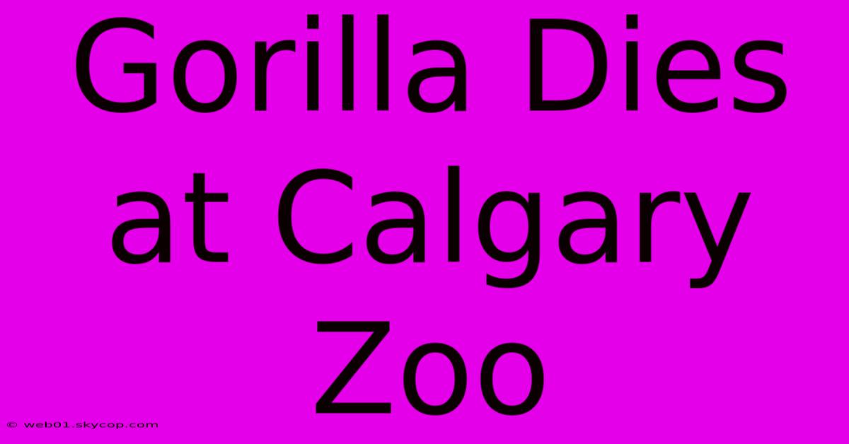 Gorilla Dies At Calgary Zoo 