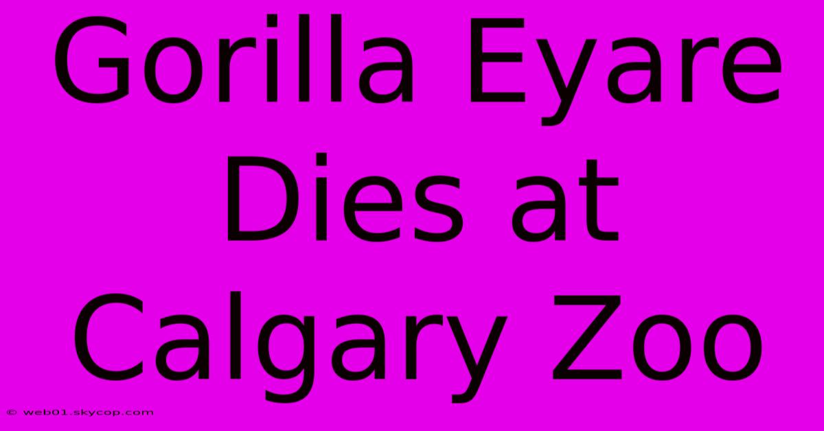 Gorilla Eyare Dies At Calgary Zoo