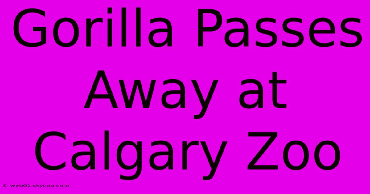 Gorilla Passes Away At Calgary Zoo