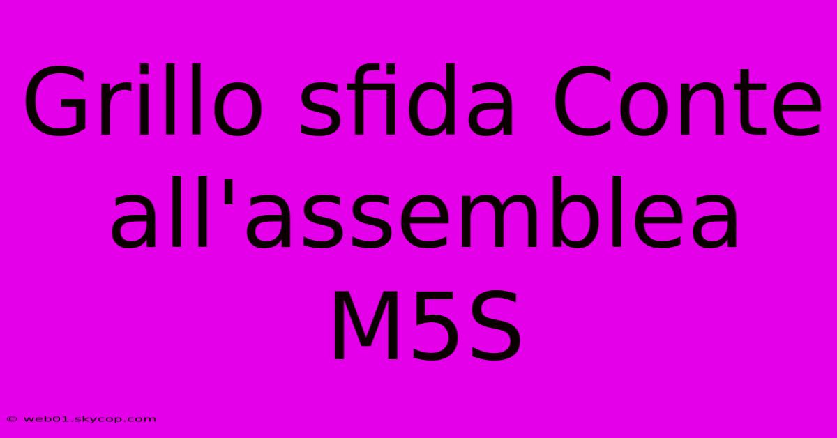 Grillo Sfida Conte All'assemblea M5S 