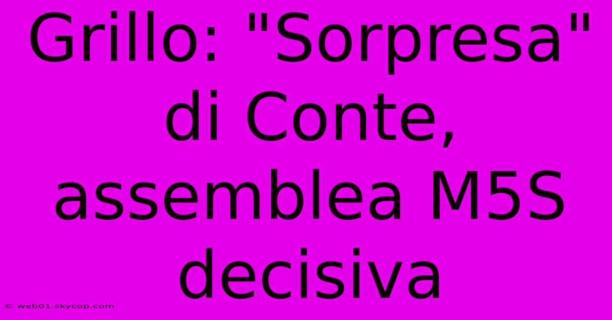 Grillo: 