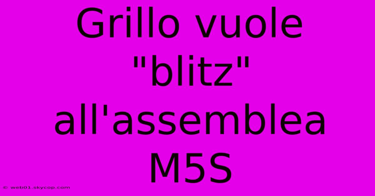 Grillo Vuole 