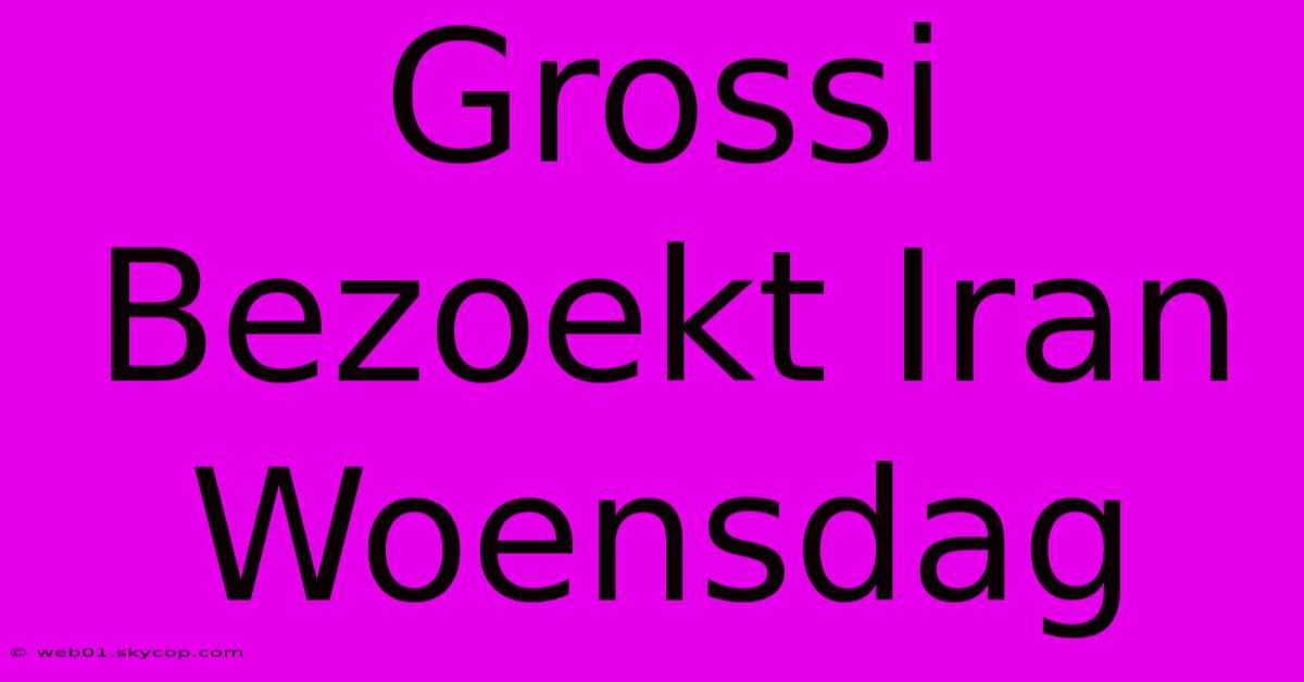 Grossi Bezoekt Iran Woensdag