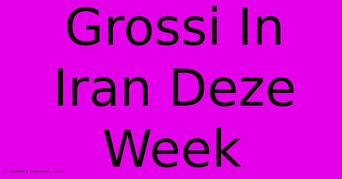 Grossi In Iran Deze Week