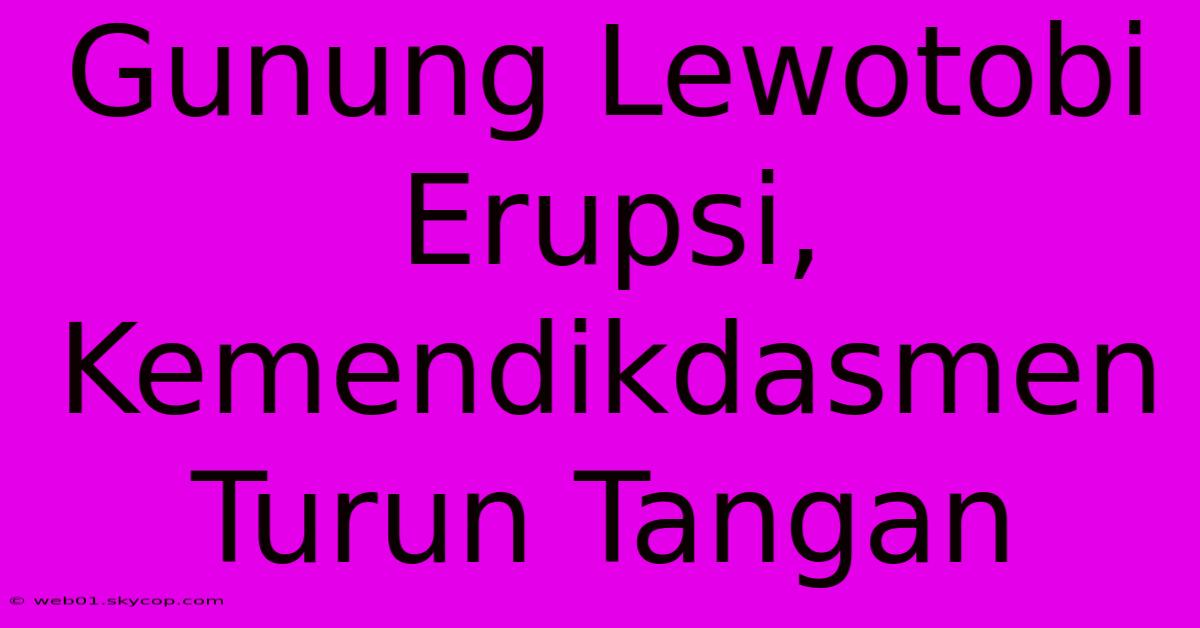 Gunung Lewotobi Erupsi, Kemendikdasmen Turun Tangan