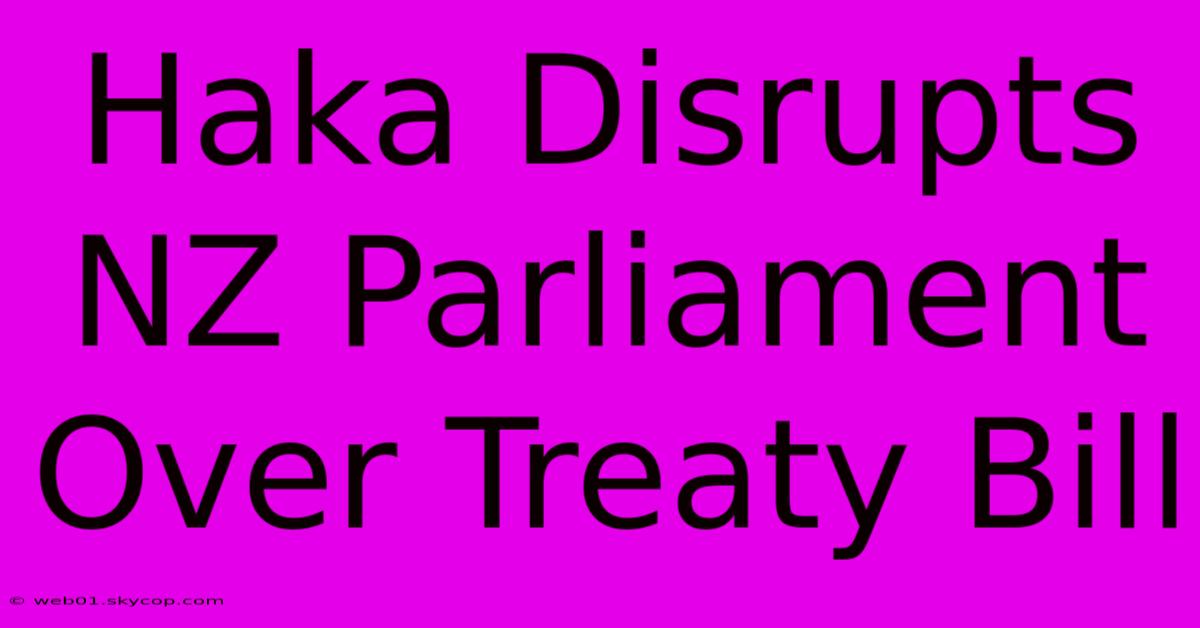 Haka Disrupts NZ Parliament Over Treaty Bill