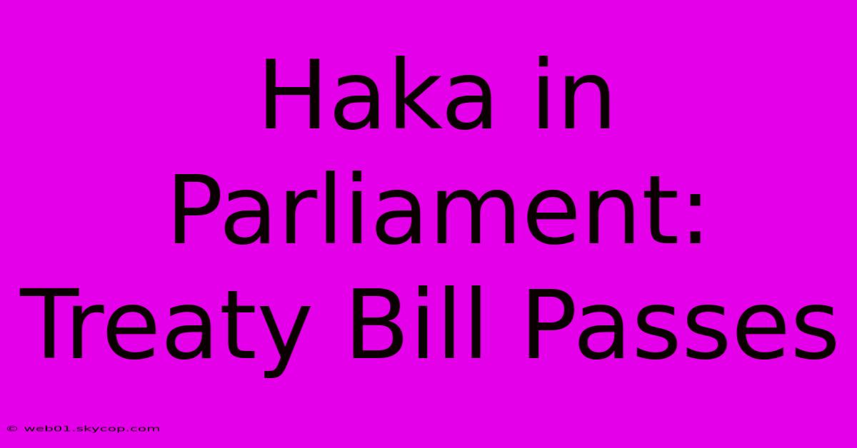 Haka In Parliament: Treaty Bill Passes