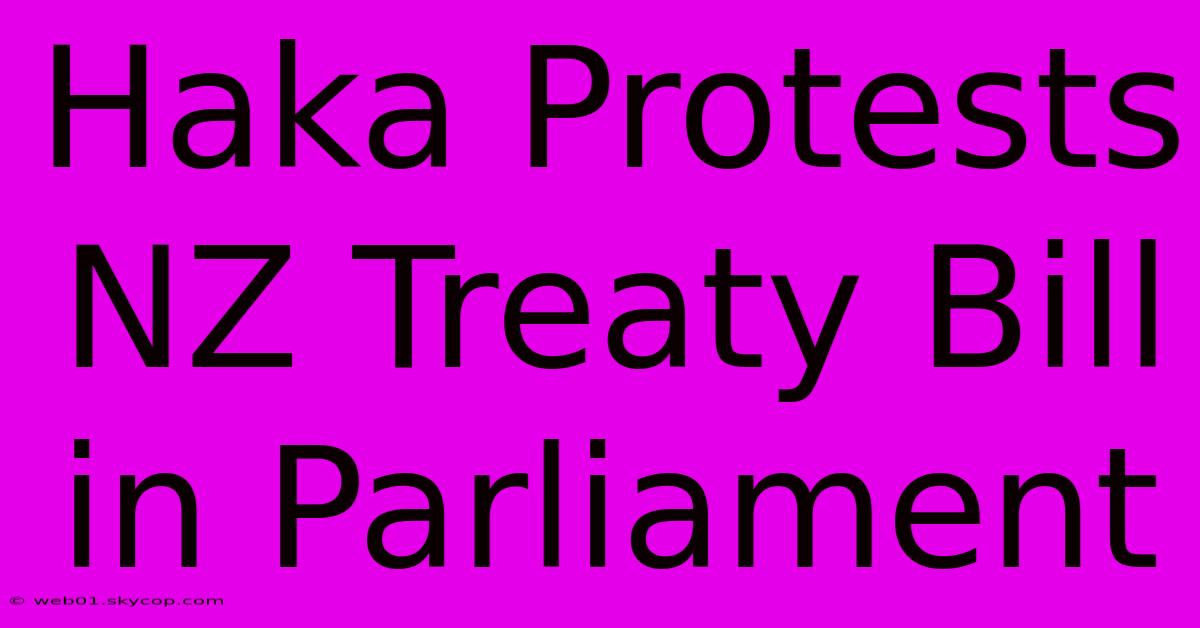 Haka Protests NZ Treaty Bill In Parliament