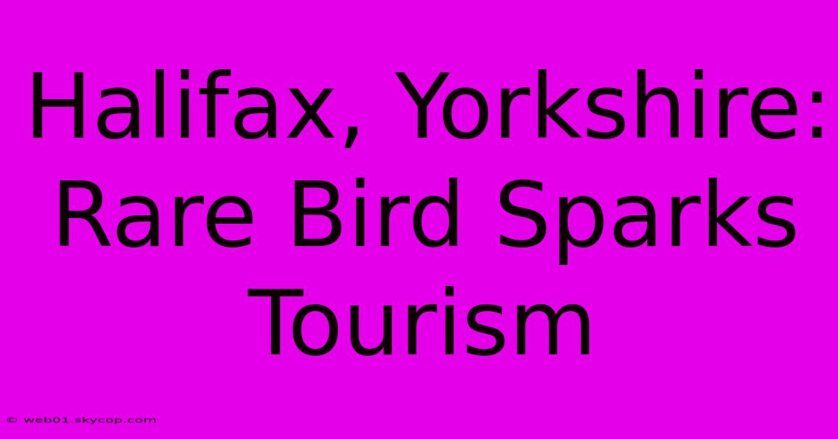 Halifax, Yorkshire: Rare Bird Sparks Tourism