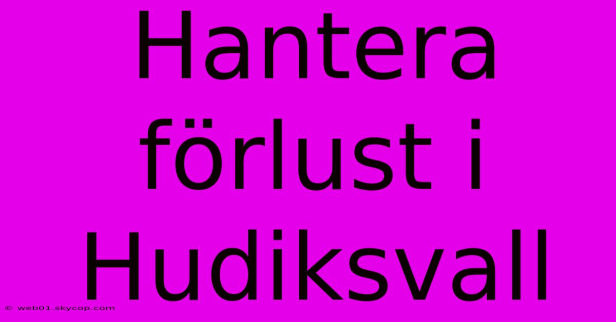 Hantera Förlust I Hudiksvall