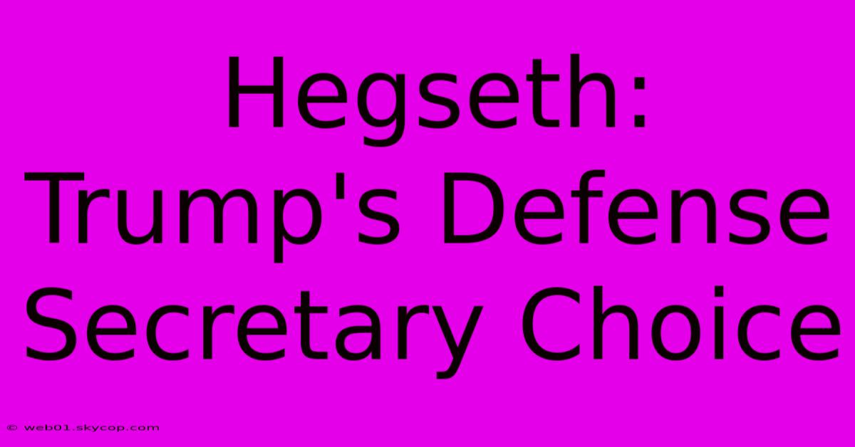 Hegseth: Trump's Defense Secretary Choice